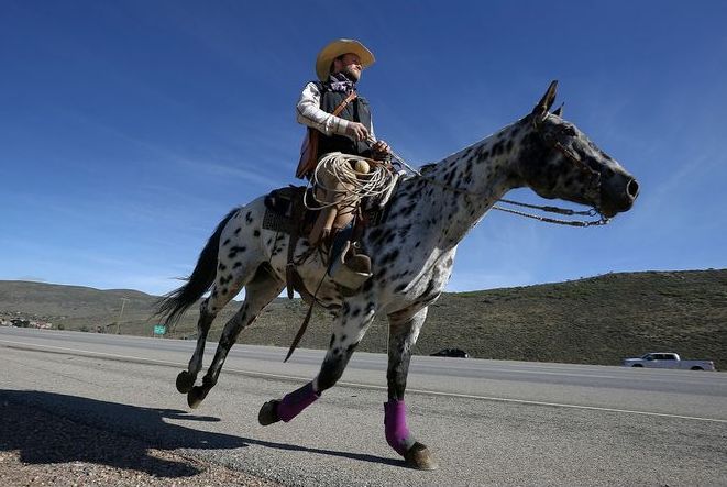 Cowboy Express